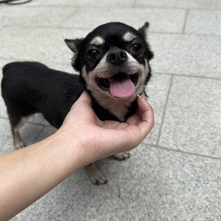 好奇心旺盛懐っこい小さな女の子