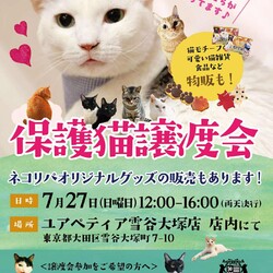 保護猫譲渡会@ユアペティア雪谷大塚店