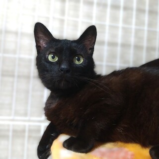 ◆3/20◆かしこくって甘えんぼ♥ファン太