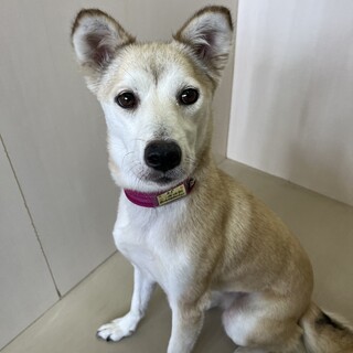 里親様決定いたしました！