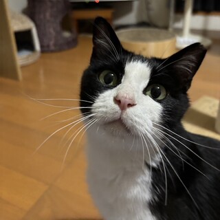 おばあちゃんが繋いだ命