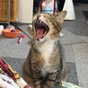人が大好き！とっても元気な男の子です！ サムネイル2