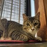 人が大好き！とっても元気な男の子です！ サムネイル3