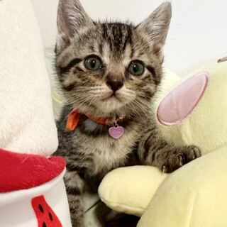 丸顔、ちょっぴり垂れ目★天