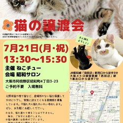 ねこチュー第24回猫の譲渡会