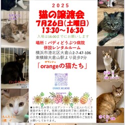 orangeの猫達の譲渡会in大倉山