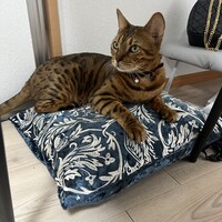 カガリ