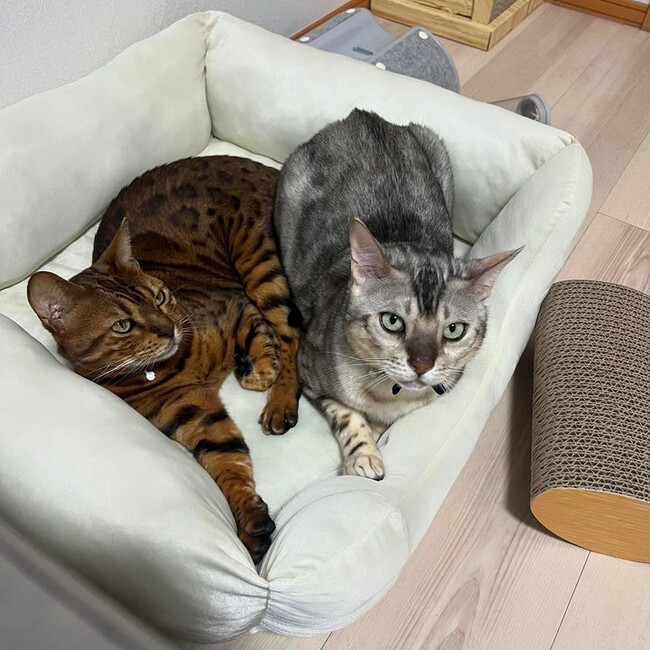 みっちゃん572のカバー写真