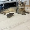 ムウ