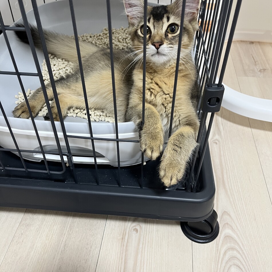 ムウのカバー写真