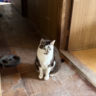 寂しがり屋の飛び丸君！
