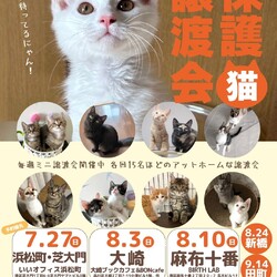 みなとねこ保護猫ミニ譲渡会＠大崎ブックカフェ