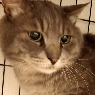 ほんとは甘えんぼ♪大食漢ミャクミャク