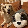 マメサブロー