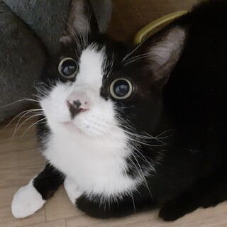 抱っこ大好き♡