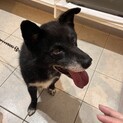 人懐っこくて賢いクーくん