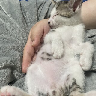 人が大好きでとても愛情深いです