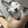 人が大好きでとても愛情深いです サムネイル2