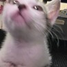 人が大好きでとても愛情深いです サムネイル6
