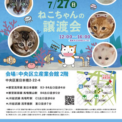 ねこざんまい譲渡会@東日本橋