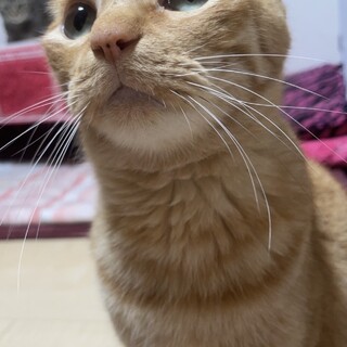 安心安全安楽な生活の場を。