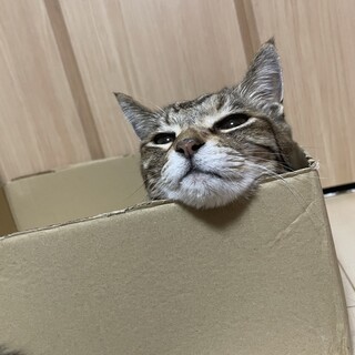 安心安全安楽な生活の場を。