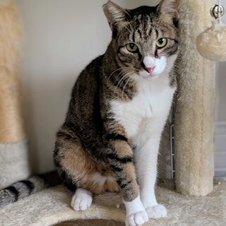 超超超甘えん坊な男子　