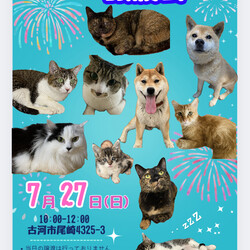 保護犬猫☺︎譲渡会 @古河市