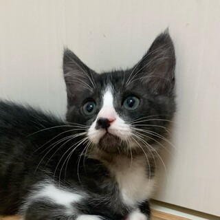 7/21高田馬場★こうくん★遊ぶの大好き！