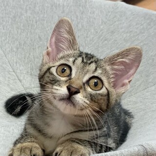 7/21高田馬場★アースちゃん★甘々な小顔女子