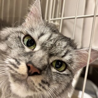 人見知りからのデレッデレになったディックです！