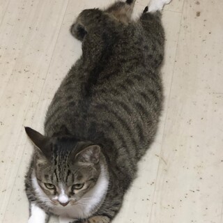 安心安全安楽な生活の場を。