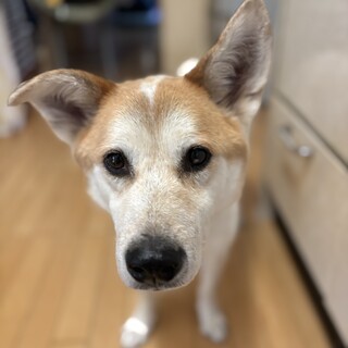 急募‼️独占欲の強い男の仔