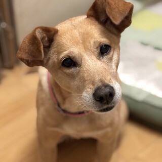 素敵なご家族に巡り会えました