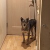 甘えたい、照れ屋な女の仔