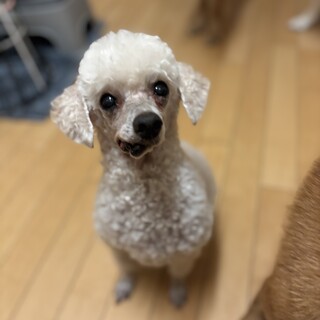 急募‼️人が大好き