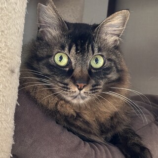 元気で明るい性格！オレンジくん