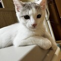 素敵な里親様と出会えました☆ルーク