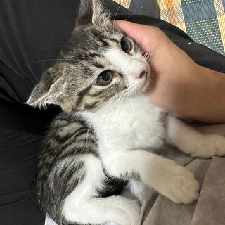 姉妹で家族が見つかりました♡ニコル