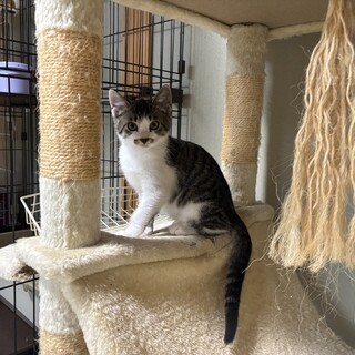 丸顔系の可愛い三兄弟