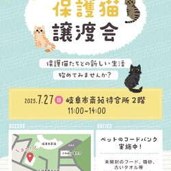 岐阜市保護猫譲渡会