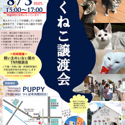 つくねこ譲渡会