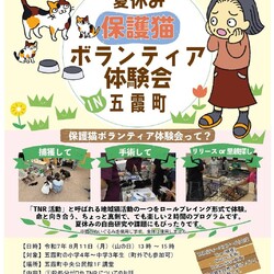 保護猫ボランティア体験会