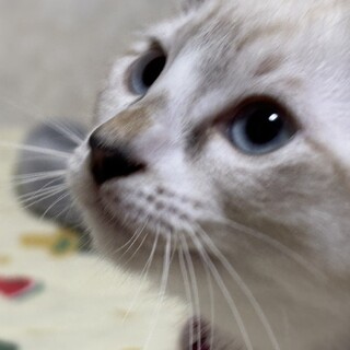 愛らしい兄妹たち・佑海（うみ）ちゃん