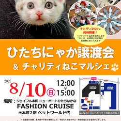 ひたちにゃか譲渡会 サムネイル1