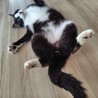 抱っこ大好き♡ サムネイル5
