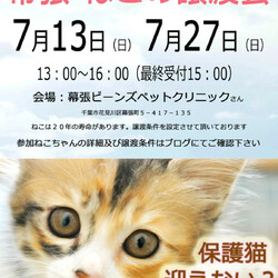 幕張ねこの譲渡会　動物病院で開催です