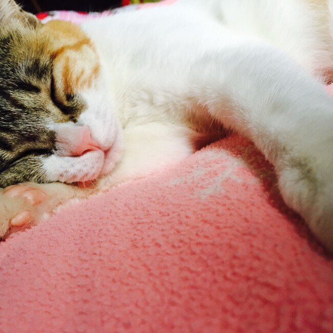 なぎ0919のカバー写真