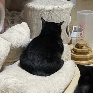 安心安全安楽な生活の場を。