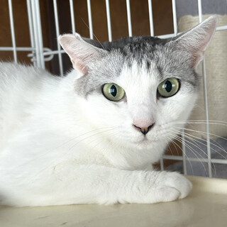 人馴れ訓練中ですレモンちゃん